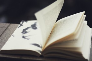 You Should Date an Illiterate Girl - By Charles Warnke - Heart Hackers Club -  - Book